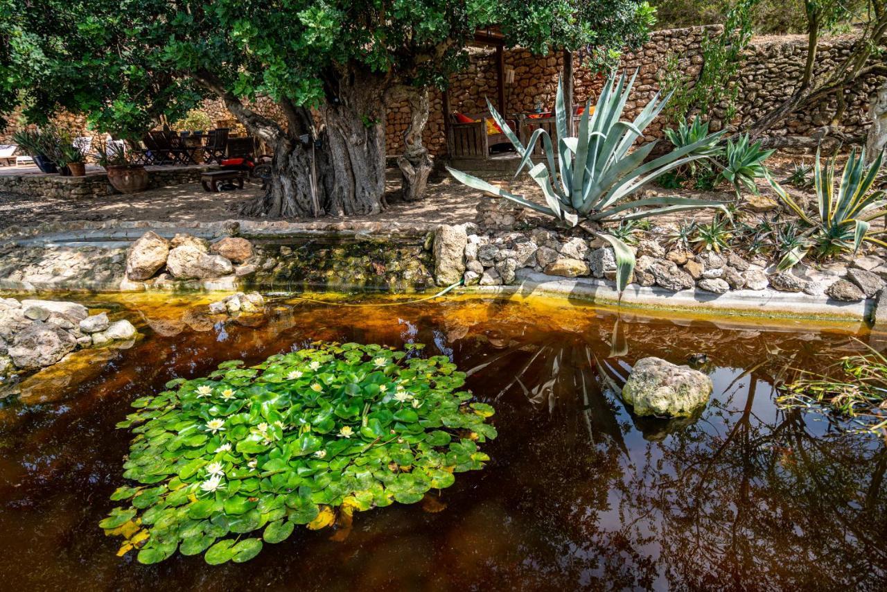 RObbY's IbIzA""" Villa San José Kültér fotó